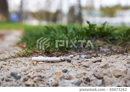 Smoking cigarette butt on the grass closeup Smoking cigarette butt on the grass closeup 89873262
