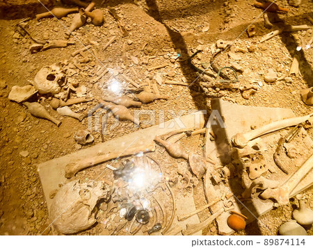 museum of ancient times. human skeleton, the remains of tribes in the museum exposition. white bones lie on sand, earth. observation of human life for thousands of years museum of ancient times. human skeleton, the remains of tribes in the museum exposition. white bones lie on sand, earth. observation of human life for thousands of years 89874114