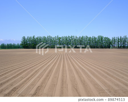 Blue sky and field 89874513