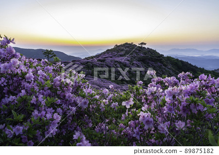 Mountain Mountain 89875182