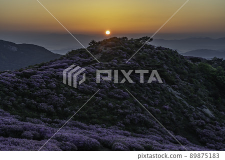 Mountain Mountain 89875183