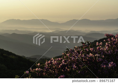 Mountain Mountain 89875187