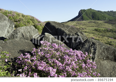 Mountain Mountain 89875194