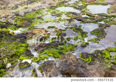 Chabo Mokeke Park Chabo Mokeke Park 89875416