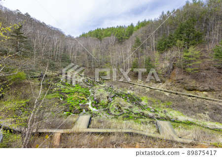 Chabo Mokeke Park Chabo Mokeke Park 89875417