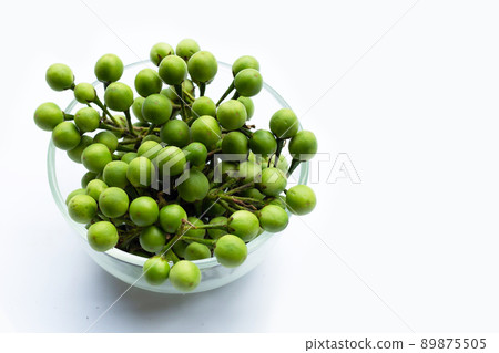 Turkey berry isolated on white background 89875505