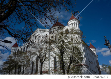 Prechistensky Cathedral in Vilnius. 89876097