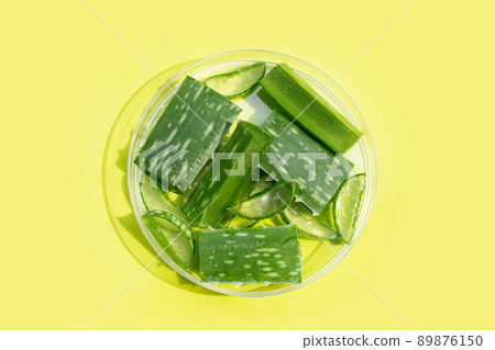 Aloe vera in petri dishes on green background. 89876150