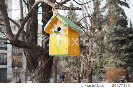 Birdhouse on a tree in the Park named after Bauman in Moscow. 89877350