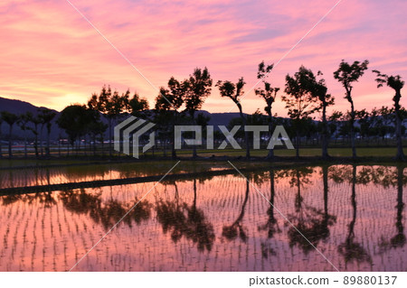 Sunset and Sasaki 89880137