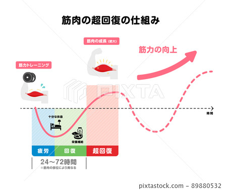 Strength training / muscle training / muscle supercompensation mechanism illustration 89880532
