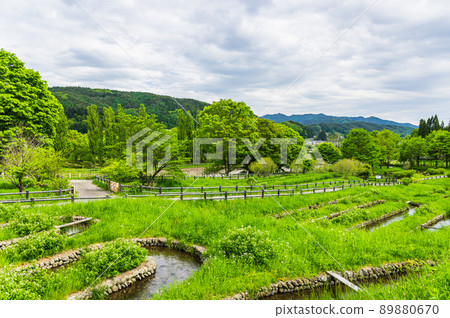 Tatsuno Town Hotarudo Song Park in early summer 89880670