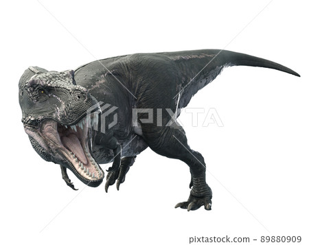 Tyrannosaurus 3 89880909