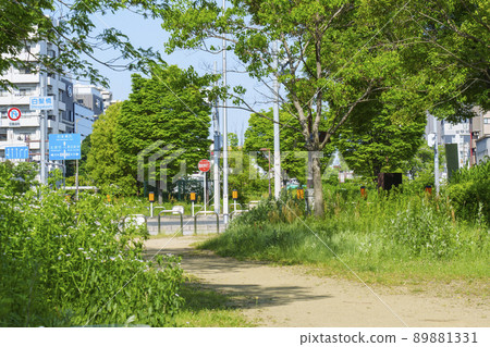 西橫堀公園（大阪市西區）以長堀通的中間地帶為人行道 89881331