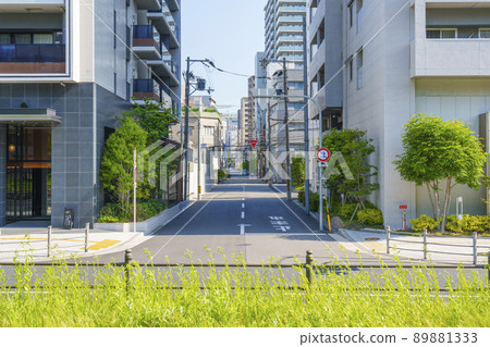 西橫堀公園（大阪市西區）以長堀通的中間地帶為人行道 89881333
