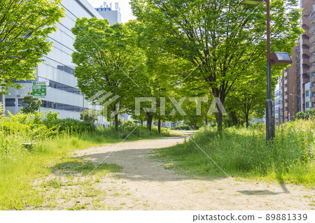 西橫堀公園（大阪市西區）以長堀通的中間地帶為人行道 89881339