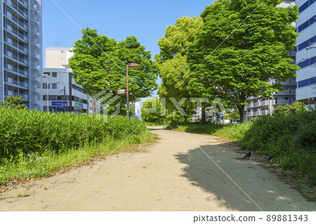 Nishi-Yokobori Park (Nishi-ku, Osaka City) with the median strip of Nagahori-dori as a promenade 89881343