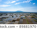 Mt. Iwaki and rice fields 001 89881970