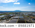 Mt. Iwaki and rice fields 002 89881971