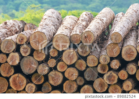 Logging logs lacking timber biomass Logging logs lacking timber biomass 89882524