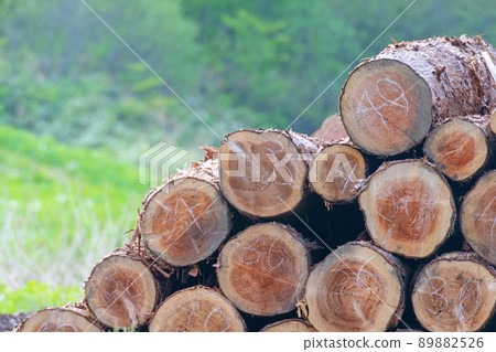 Logging logs lacking timber biomass Logging logs lacking timber biomass 89882526