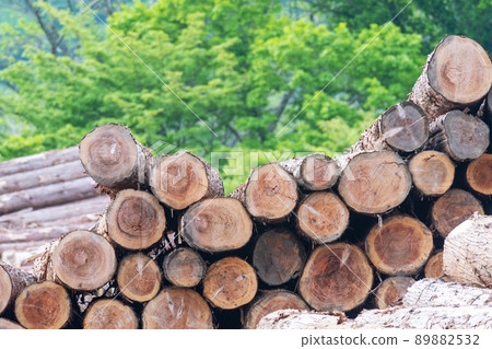 Logging logs lacking timber biomass 89882532