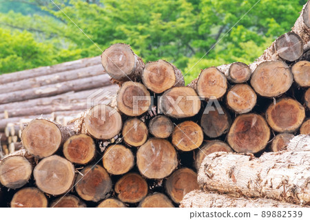 Logging logs lacking timber biomass Logging logs lacking timber biomass 89882539