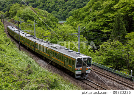 Joetsu Line Fresh Green 89883226