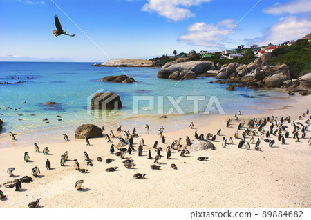 Beautiful sea at Boulders Beach Beautiful sea at Boulders Beach 89884682