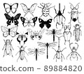 Illustration of insects 1 89884820