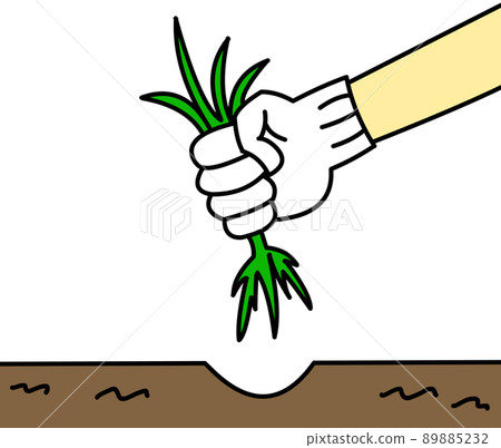 Weed removal 89885232