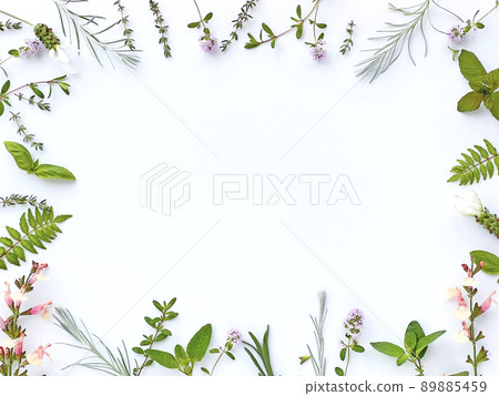 新鮮香草的框架材料 新鮮香草的框架材料 89885459