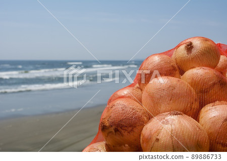 Onions in Shirako Town, Chiba Prefecture 89886733