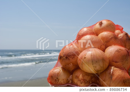 Onions in Shirako Town, Chiba Prefecture 89886734
