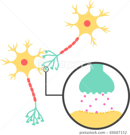Image of synapses and neurotransmitters 89887152