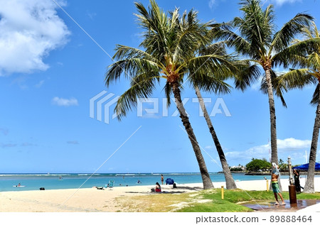 Holidays in Hawaii 89888464