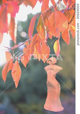 Goddess of autumn leaves and Jomon 89889009
