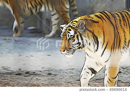 Pastel-like "two tigers" illustration image Pastel-like "two tigers" illustration image 89890018