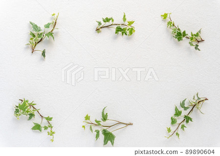 Ivy green frame 89890604
