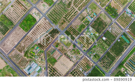 農業用地鳥瞰圖 89890919