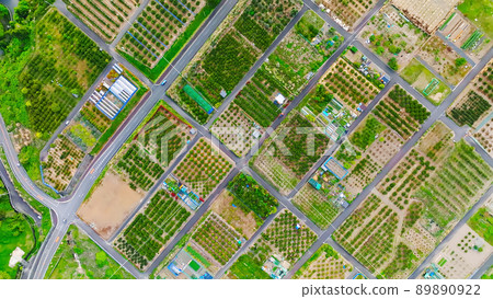 Aerial view of agricultural land 89890922