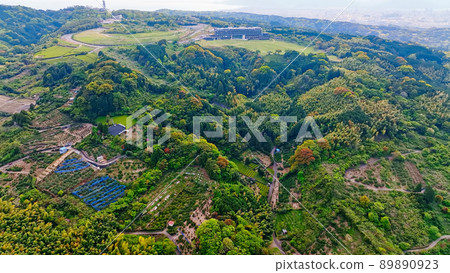 Forest aerial shooting 89890923