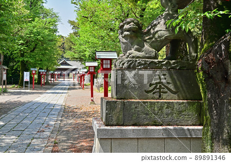 Washinomiya Shrine / Sando, Kuki City, Saitama Prefecture Washinomiya Shrine / Sando, Kuki City, Saitama Prefecture 89891346