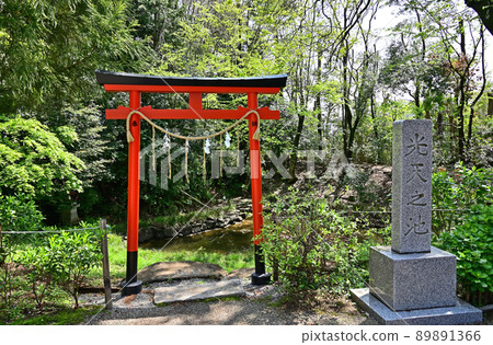 Washinomiya Shrine / Washinomiya Horiuchi Ruins Kotennoike, Kuki City, Saitama Prefecture Washinomiya Shrine / Washinomiya Horiuchi Ruins Kotennoike, Kuki City, Saitama Prefecture 89891366