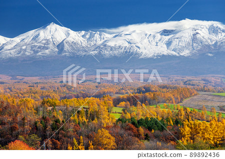 Tokachidake mountain range and autumn leaves at the foot of the mountain 89892436