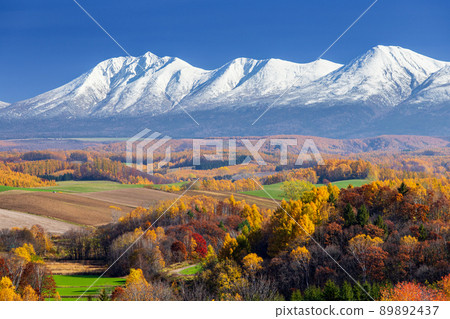 Tokachidake mountain range and autumn leaves at the foot of the mountain 89892437