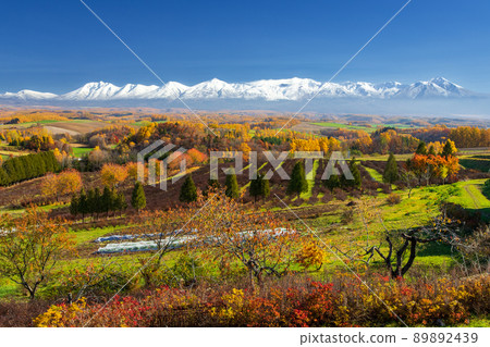 Tokachidake mountain range and autumn leaves at the foot of the mountain Tokachidake mountain range and autumn leaves at the foot of the mountain 89892439