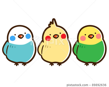 Handwritten style illustration with three cute parakeets lined up 89892636