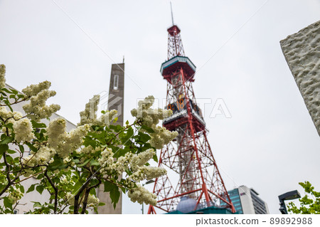 札幌大通公園丁香里拉 89892988