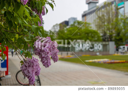 Sapporo Odori Park Lilac Lira Sapporo Odori Park Lilac Lira 89893035